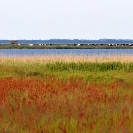 Werna - 800m From The Sea By Interhome *