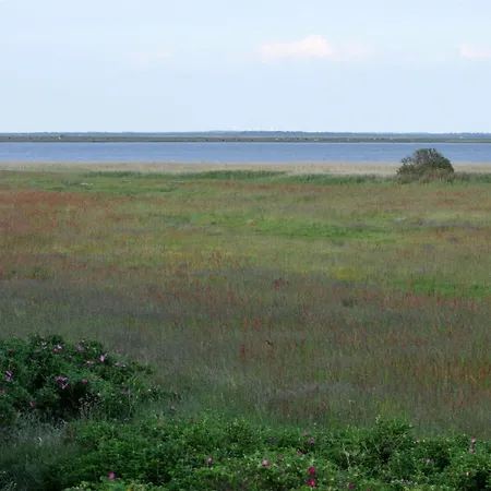 Apartamento Werna - 800m From The Sea By Interhome Bjerregård